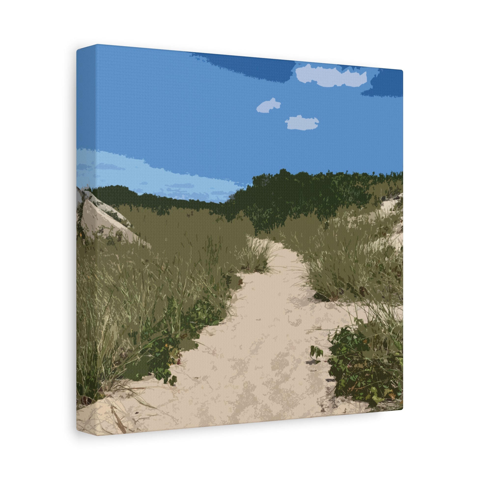 Cape Cod Beach Path | Square Stretched Canvas Print — Graphic — Front