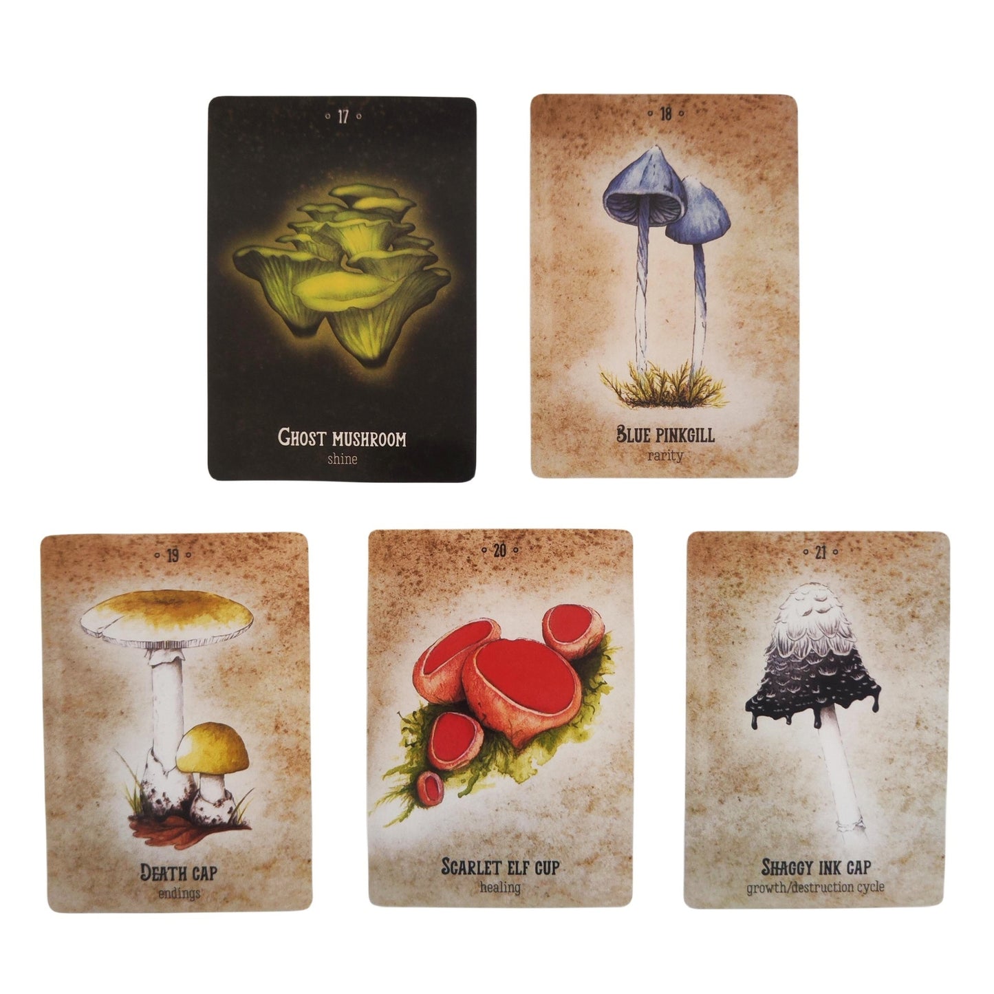 Magical Mushroom Oracle Deck | 36 Trippy Fungi Cards + Guidebook | Spiritual Gift for Nature Nerds & Conscious Explorers