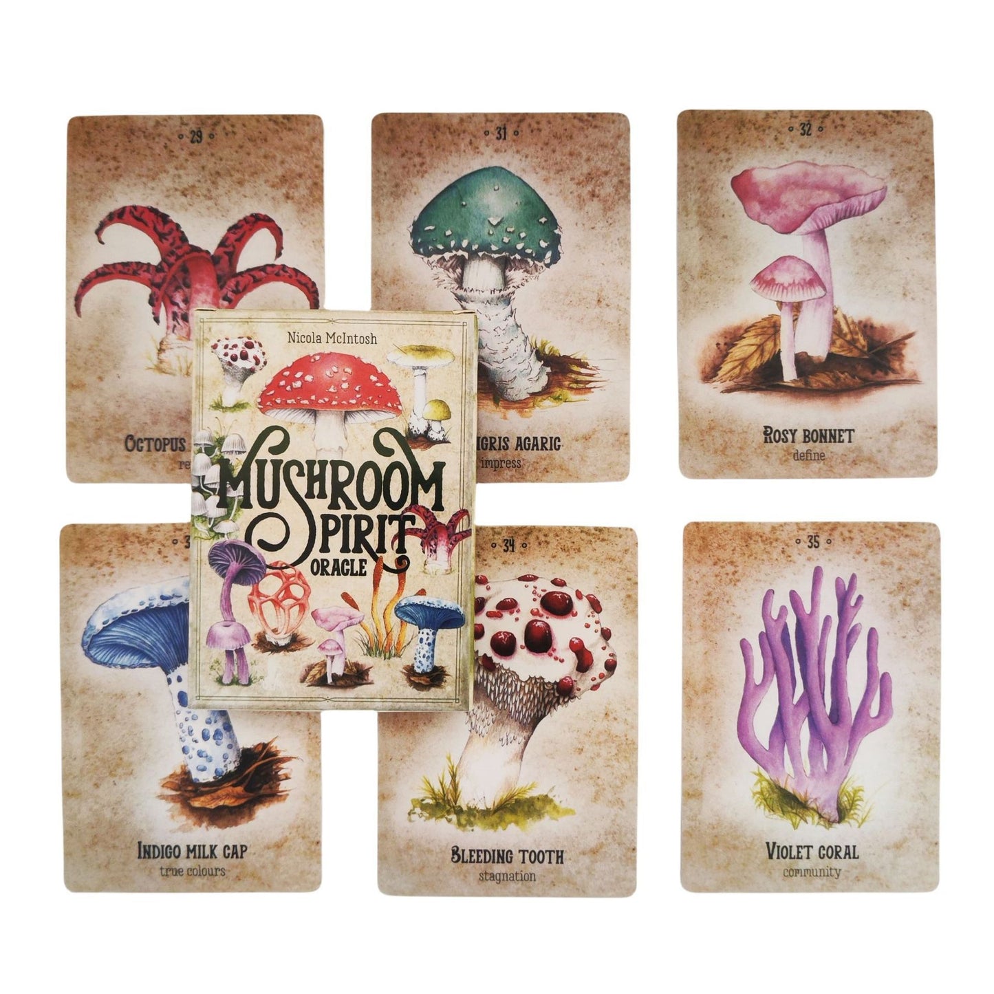 Magical Mushroom Oracle Deck | 36 Trippy Fungi Cards + Guidebook | Spiritual Gift for Nature Nerds & Conscious Explorers