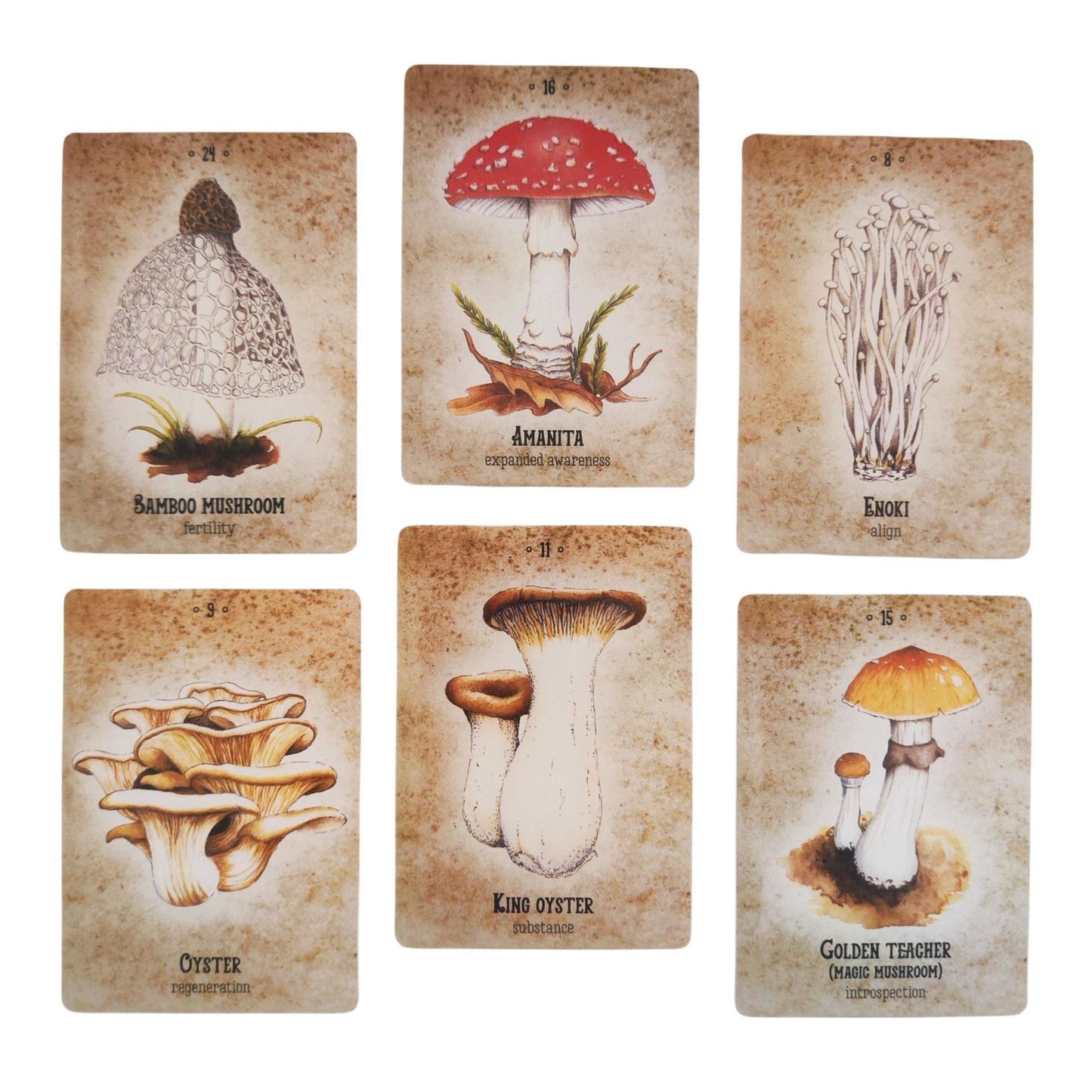 Magical Mushroom Oracle Deck | 36 Trippy Fungi Cards + Guidebook | Spiritual Gift for Nature Nerds & Conscious Explorers