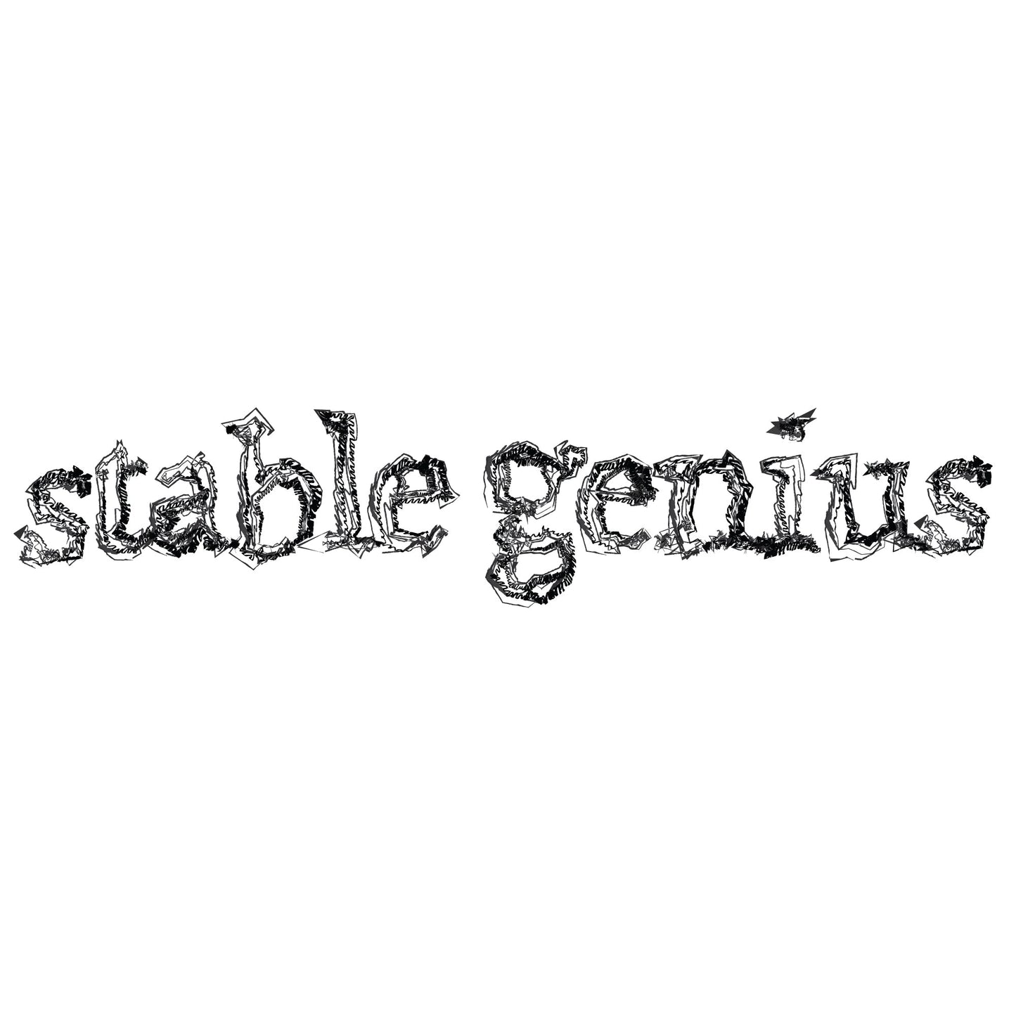 Clothing Stuff > Shirts & Tops > Lightweight Jersey Tee Stable Genius T-Shirt | Ironic Political Humor Tee