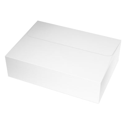 Frog Note Card Set | “Did Someone Say Herpetologists” | Blank Science Cards with Envelopes