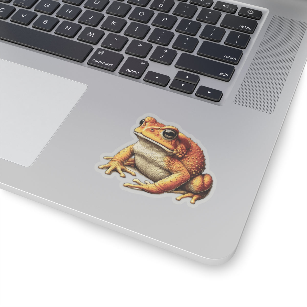 Golden Toad Stickers | Quirky Frog Gift for Biology Nerds | Peel-and-Play Fun