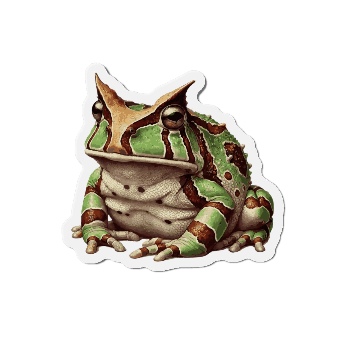 Home Decor Argentine Horned Frog Vinyl Magnet | Quirky Gift for Frog Lovers | Magnetized Fun