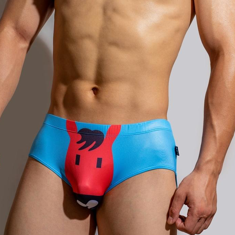 Sleepwear, Swimwear, & Underwear Briefs Mens Clothing Underwear