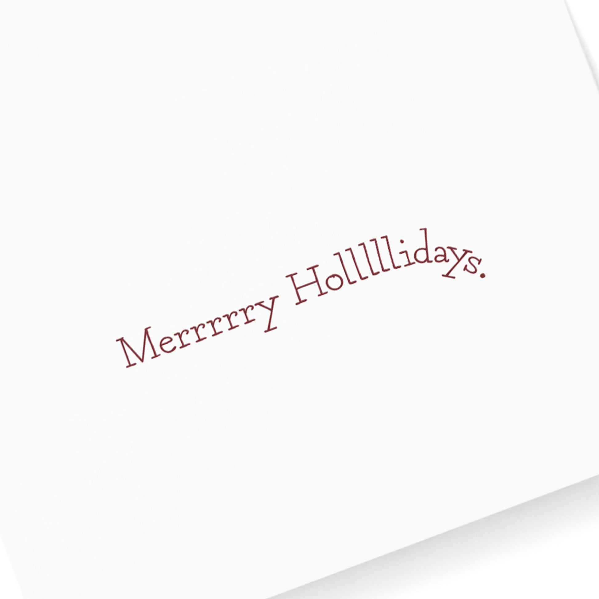 Paper products Merry Holidays from Drunk Santa | Eco-Friendly Greeting Cards | Christmas Card Sets with Envelopes for Drinkers