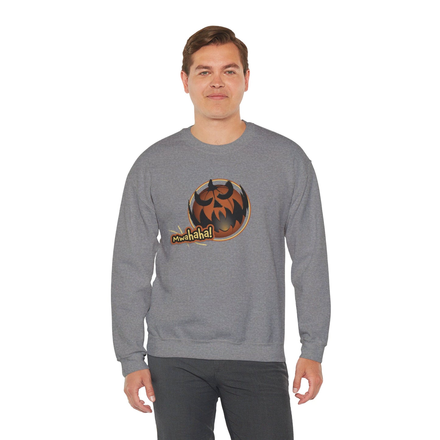 Sweatshirt Crew neck Men's Clothing Regular fit Sweatshirts Unisex Women's Clothing