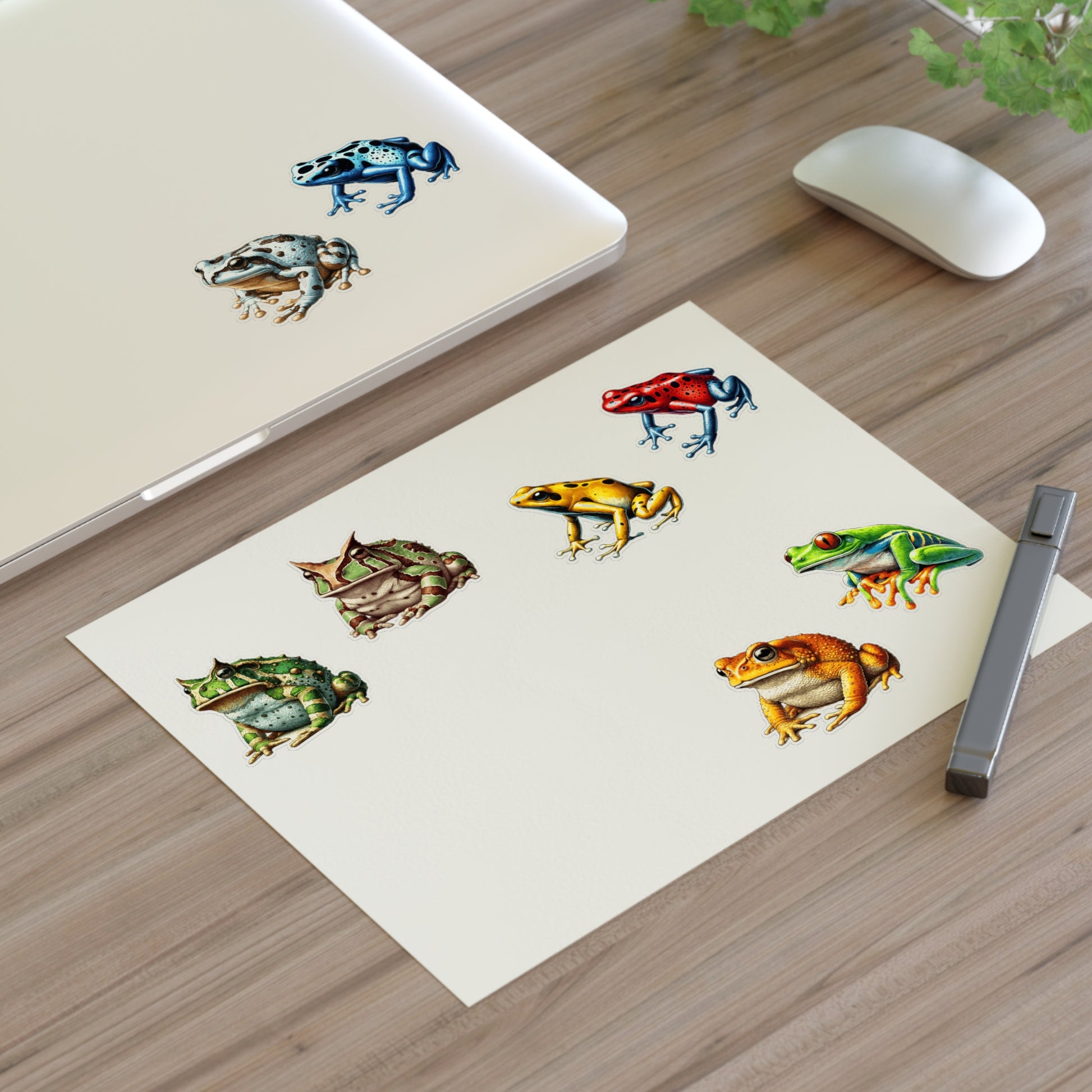 Stickers Frog Sticker Sheets | 8 Unique Frog Designs | Large and Small Stickers for Biology Nerds