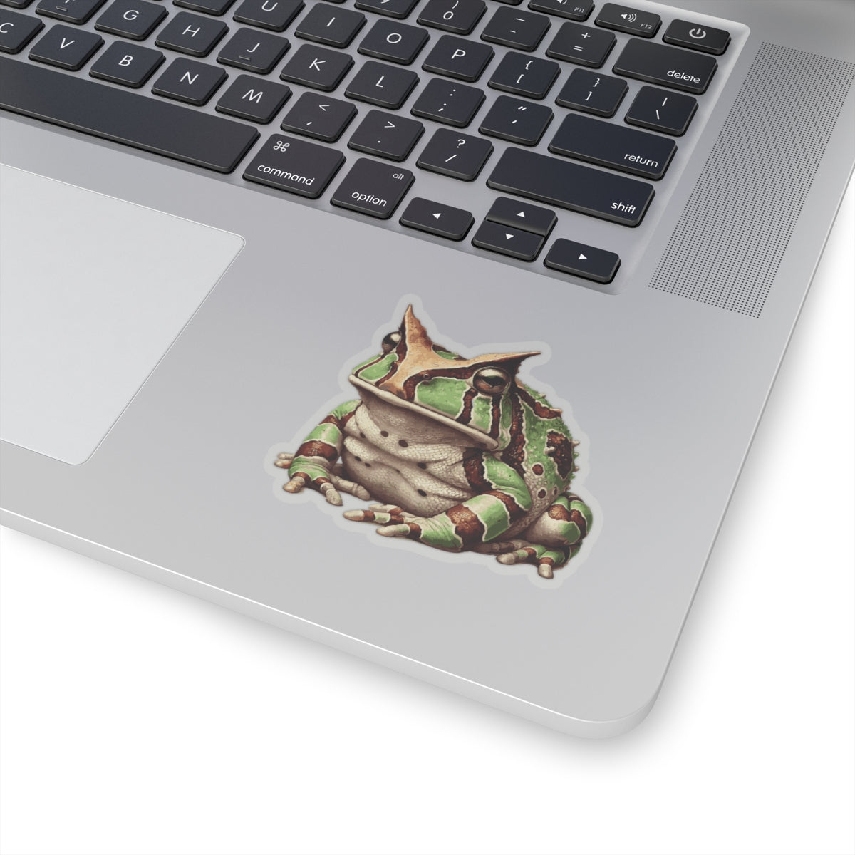 Argentine Horned Frog Stickers | Quirky Frog Gift for Biology Nerds | Peel-and-Play Fun