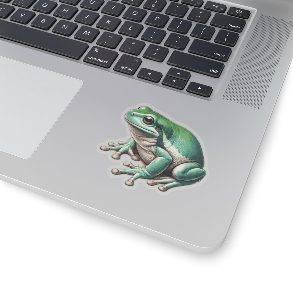 White’s Tree Frog Stickers | Quirky Frog Gift for Biology Nerds | Peel-and-Play Fun