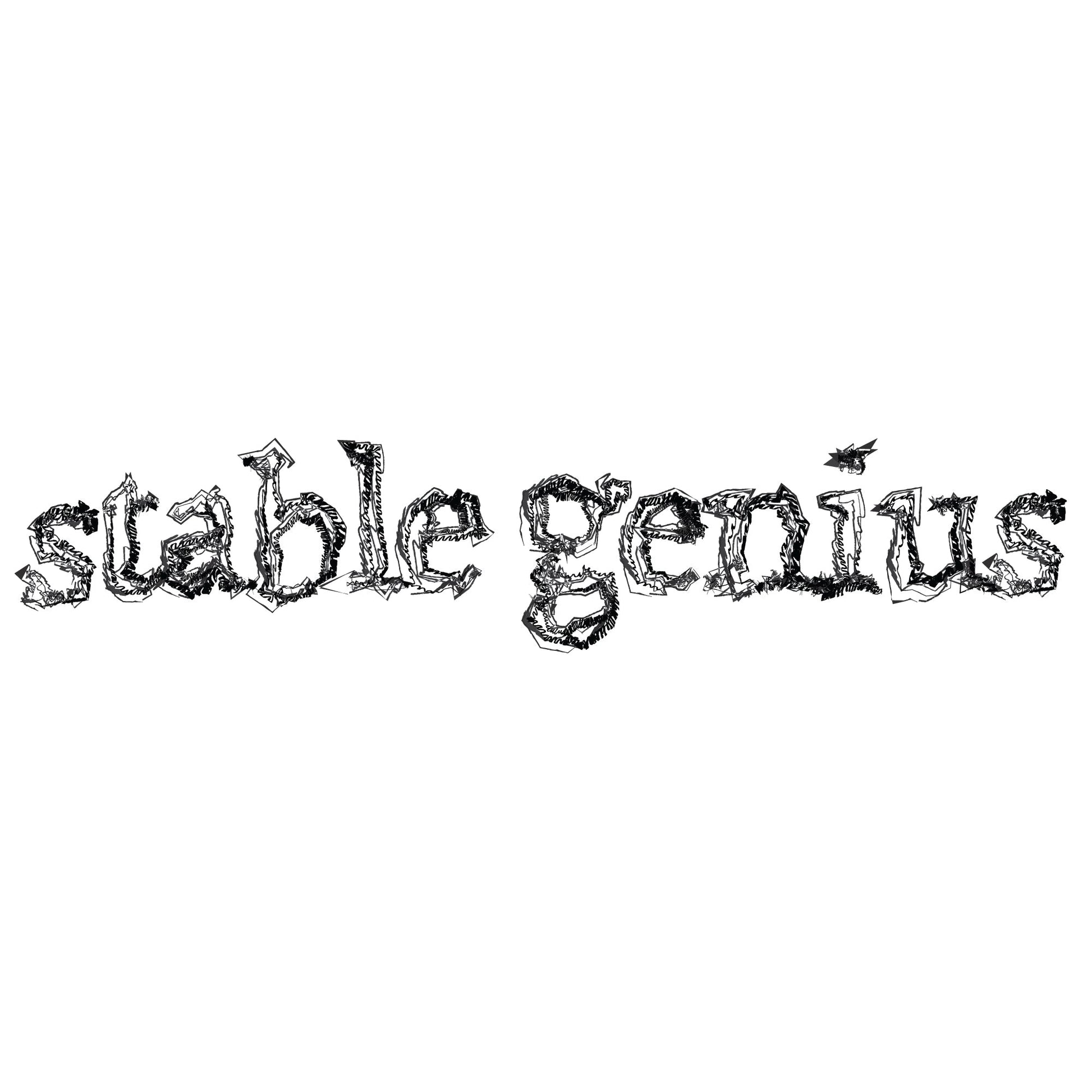 Clothing Stuff > Shirts & Tops > Lightweight Jersey Tee Stable Genius T-Shirt | Ironic Political Humor Tee