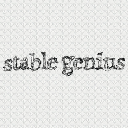 Clothing Stuff > Shirts & Tops > Lightweight Tank Top Stable Genius Tank Top | Political Humor Sleeveless Shirt – Free Shipping